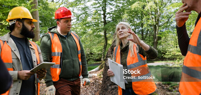 Arborists in discussion in a woodland setting