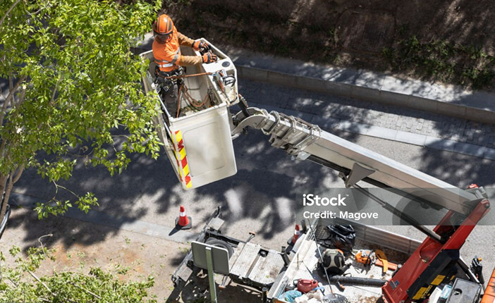 An arborist in a cherry picker